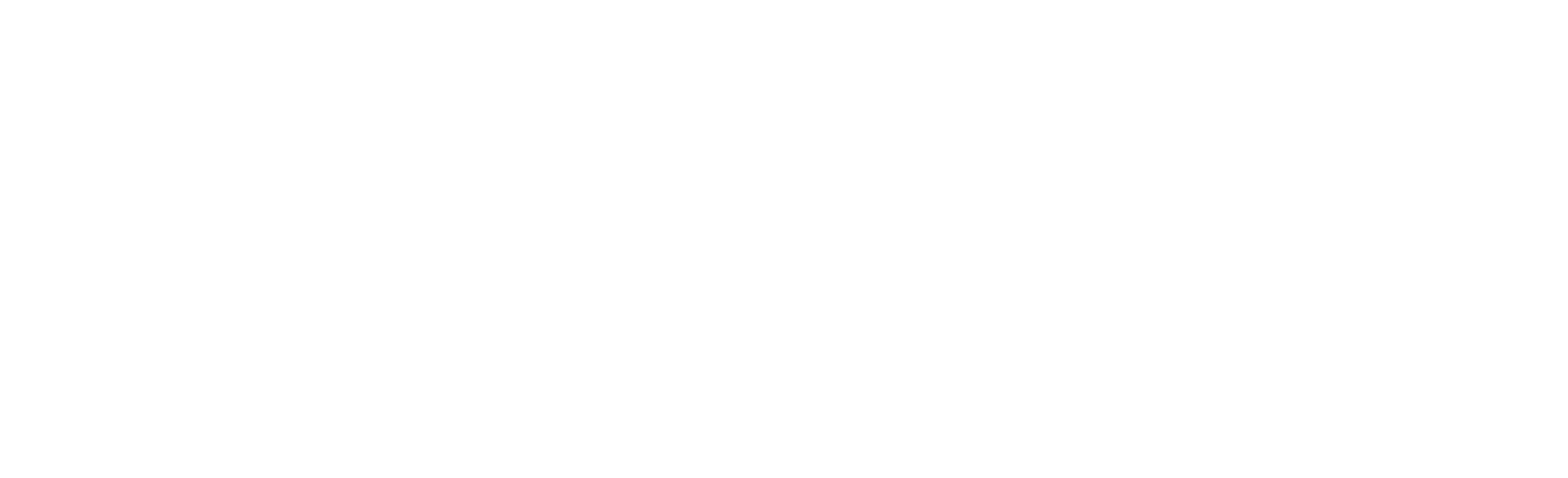 DSShield